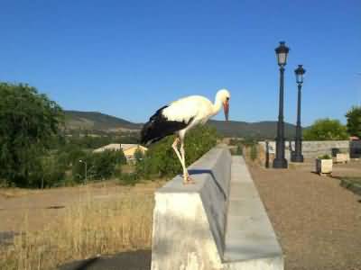 Hostal Venta del Arriero (Retuerta del Bullaque)