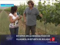 Bodega%20Pago%20de%20Vallegarcia.jpg