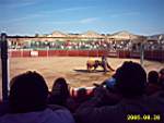 fiestas2005-152.jpg