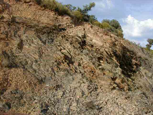 Fósiles en Retuerta del Bullaque