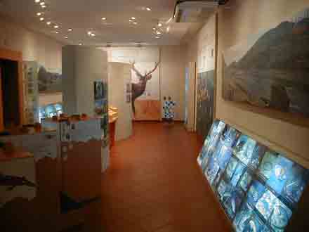 Museo de la Fauna de Cabañeros