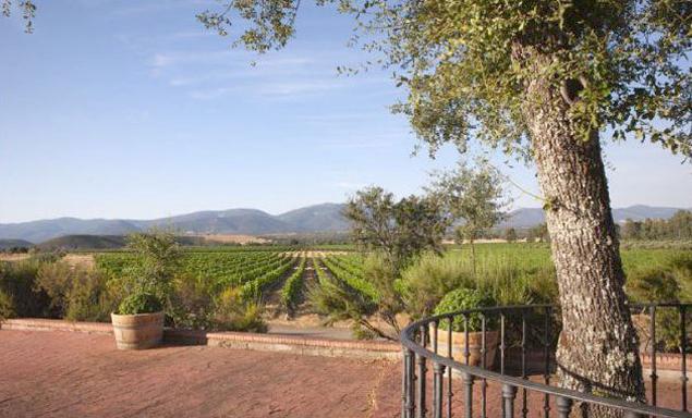 Bodega Dehesa del Carrizal